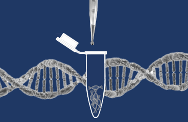 DNA RNA Isolation kit
